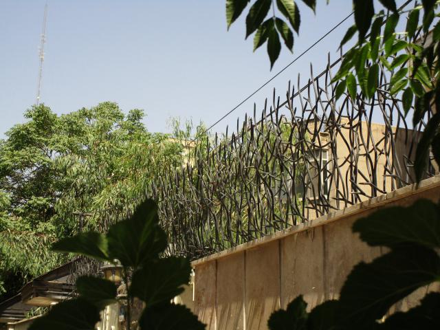 حفاظ روی دیوار شاخ گوزنی