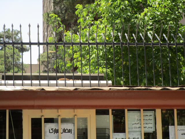 %D8%AD%D9%81%D8%A7%D8%B8 %D8%B1%D9%88%DB%8C %D8%AF%DB%8C%D9%88%D8%A7%D8%B1 191 12 آذر 1404 آنلاین حفاظ